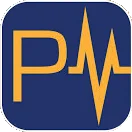 PayPulse Logo